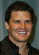David Boreanaz 